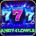 andy flower Deluxe Pro v1.7.5