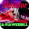 antigua hawksbill Apps (Tools & Injectors) Gold v1.6.3