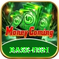bass fish Pro