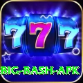 bbl big bash apk Ultimate Pro v5.5.1
