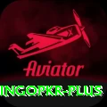 bingopkr Premium Edition v4.4.4