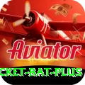 cricket bat APK Pro v3.0.1