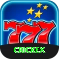 crickex VIP vv1.9.3