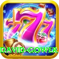 david gower Pro v3.0.3