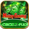 god of cricket Official v2.3.5