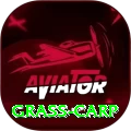 grass carp Plus Pro v3.3.8