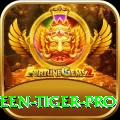holloween tiger Super - Win Real PKR