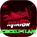 hong kong cricket team Plus Pro v4.4.0