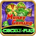 india bangladesh cricket Gaming Max v1.7.6
