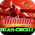 india pakistan cricket Plus Pro v1.9.2