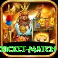 india pakistan cricket match Elite Pro v2.1.5