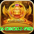 india pakistan cricket Casino Master v3.7.9