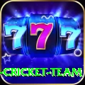 ireland cricket team Master v3.1.1