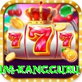 kusum kangguru Plus Pro v2.1.0