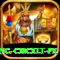make money betting cricket pk Deluxe Pro v1.0.2