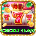 netherlands cricket team Premium v2.0.2