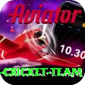 pakistan women cricket team Apps (Tools & Injectors) Deluxe v4.4.0