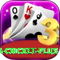 r cricket Deluxe - Free Download