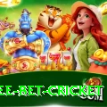 risk free bet cricket Premium v3.3.4