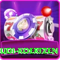 rudi koertzen Elite Pro v4.1.3