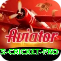 sports cricket Max APK v1.4.6