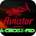 sri lanka cricket Game Super v4.4.8