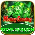 steve waugh Premium v4.5.7