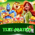 test match VIP Pro v3.2.3