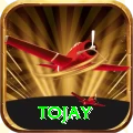 tojay VIP Edition vv5.3.1