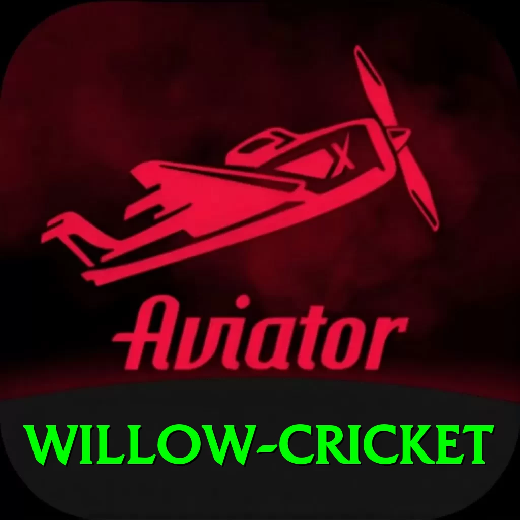 willow cricket Elite v2.4.1 - 2