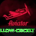 willow cricket Elite v2.4.1