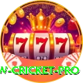willow cricket Live Casino Deluxe